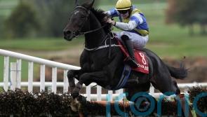 Queally sets Stayers&rsquo; goal for Rocky&rsquo;s Diamond