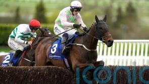 Gaelic Warrior primed for positive Dublin Chase tactics