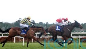 Cromwell enjoys Juvenile Grade One strike with Hello Neighbour