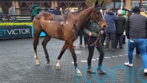 Kieswetter hoping Karbau can hit Cheltenham rivals for six