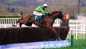 Corbetts Cross camp keeping Gold Cup prep options open