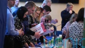 Seanad election count continues in final vocational panel