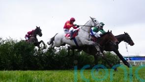 Vanillier ends victory drought in Punchestown double for Cromwell