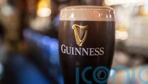 Guinness increasing supplies after Christmas pub shortages