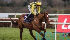 Mullins has secret Champion Hurdle gameplan in mind