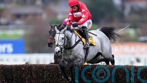 &lsquo;No negatives&rsquo;, as L&rsquo;Eau Du Sud gets set for Kingmaker action