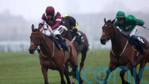 Master Chewy springs minor Game Spirit surprise