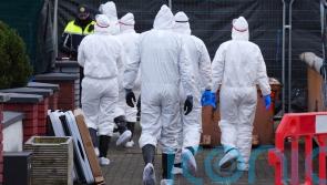 Search in missing Meath mother murder probe continues