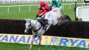 Grey Dawning remains unlikely to take up Gold Cup option