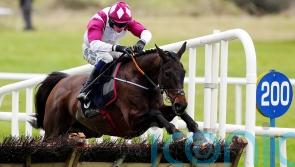 Maxxum finds more from the front for Boyne Hurdle success