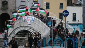 Irish government urged to enact trade ban with Israeli settlements within a year