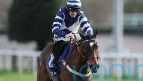 Revised mark key to Lump Sum plans