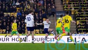 Milutin Osmajic earns Preston battling win at Norwich