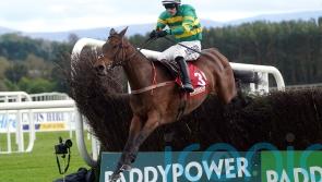 Further setback scuppers Impervious Festival hopes