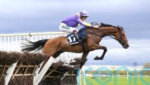 Gwennie May Boy is a notable winner for Charlie Todd