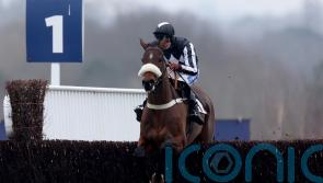 The Changing Man makes the most of Jingko Blue departure