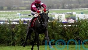 &lsquo;Absolute superstar&rsquo; Delta Work dies aged 12