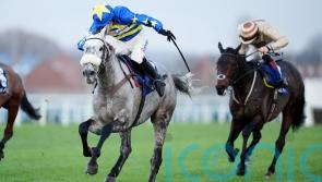 Nicholls considering Newbury for Kandoo Kid after ground rules out Kempton