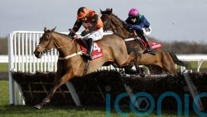 Mambonumberfive a big hit, as Mondo Man disappoints