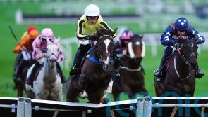 County &lsquo;probably&rsquo; favoured over Champion Hurdle for Burdett Road