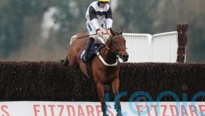 Greatrex looking forward to Cheltenham with Herakles Westwood