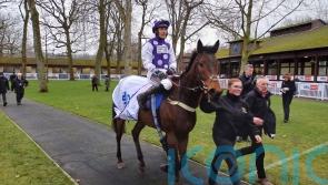 Dedicated Hero out to complete Kelso full house for Thomson