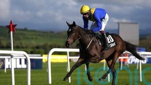 Cromwell picks out Sixandahalf and Stumptown as Festival fancies