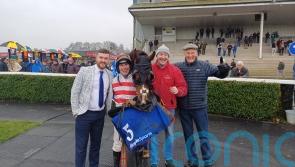 Senecia turns over El Fabiolo at Navan