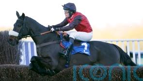 Harry Whittington thrilled to have old favourite Saint Calvados home again