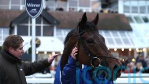 Skelton not doubting Lion&rsquo;s heart for a Festival fight