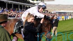Golden Ace takes full advantage of scarcely believable Champion Hurdle
