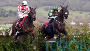 Stumptown storms home for convincing Cross Country victory