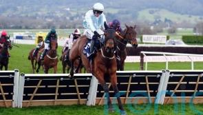 Kargese claims County crown for Mullins and Townend