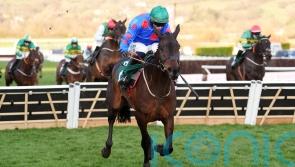 Elliott has to wait but comes good in Festival finale