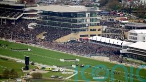Cheltenham chief vows to ensure price is right for racegoers