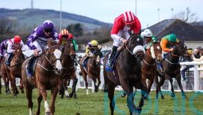 Orandi sprints home for Irish Lincolnshire honours