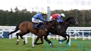 Connections feel Jasmine Bliss can blossom again at Newbury