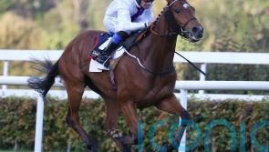 Eastern Legend is rare winner over jumps for Jim Bolger at Navan