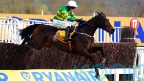 Fact To File could drop back to two miles at Punchestown