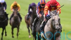 White Birch on course to defend Tattersalls Gold Cup at the Curragh