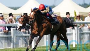 Comeback in sight for Courage Mon Ami