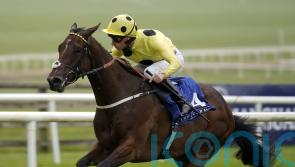 Poet Master seeking Gladness gold on seasonal bow