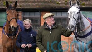 Nicholls relishing prospects of five-strong National squad