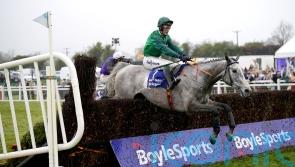 Intense approach has worked perfectly so far for Tom Gibney