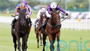 Arizona Blaze and Henri Matisse meet in Red Rocks clash