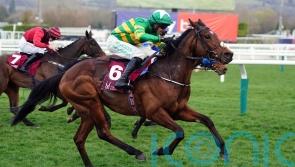 Puturhandstogether and Naturally Nimble flying flag for O&rsquo;Brien