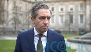 Need for &lsquo;maturity&rsquo; in EU-US talks on tariffs, Harris says