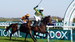 Gentleman De Mee takes Topham triumph