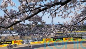 Grass fires again disrupt Japanese Grand Prix practice as Lando Norris sets pace