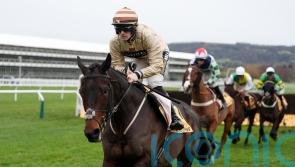 Broadway Boy homeward bound and &lsquo;should be OK&rsquo;